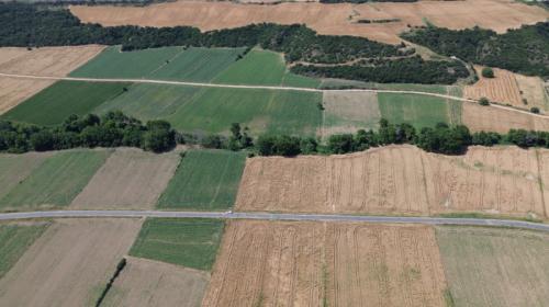 GELİBOLU BAYIRKÖYDE 920 M² ÇAPLI MUVAFAKATLI SATILIK PARSEL