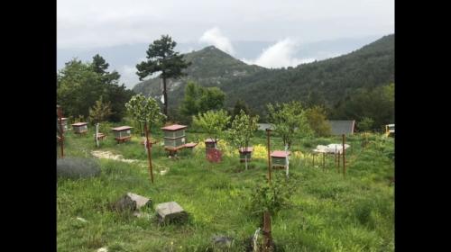 Doğal Yaşam Alanı