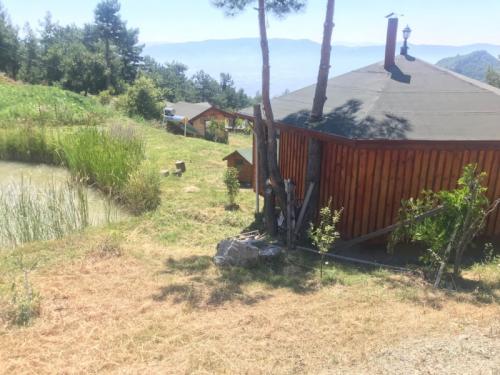 Doğal Yaşam Alanı