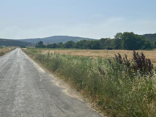 GELİBOLU BAYIRKÖYDE 567 m² ÇAPLI MUVAFAKATLI SATILIK PARSEL