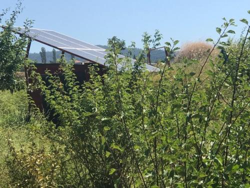 Doğal Yaşam Alanı