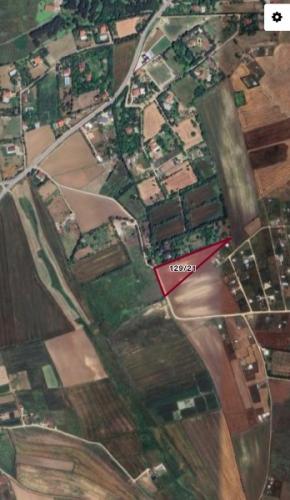  İzzettin’de 1/2 Hisse Satılık – 4.340 m²