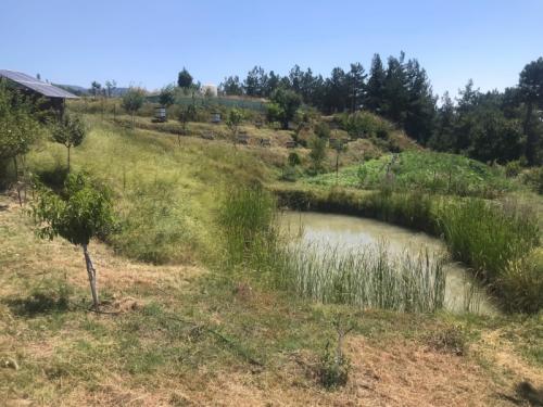 Doğal Yaşam Alanı