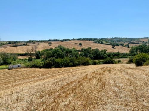 ÇATALCA DAGYENİCE DE ANA CADDE ÜZERİ ARAZİ