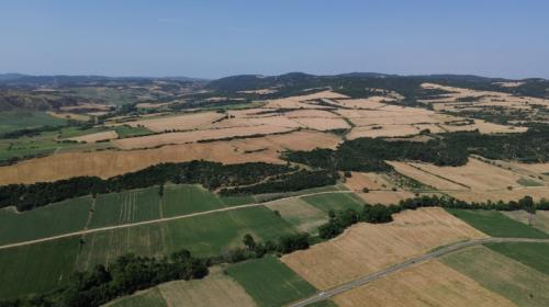 GELİBOLU BAYIRKÖYDE 567 m² ÇAPLI MUVAFAKATLI SATILIK PARSEL