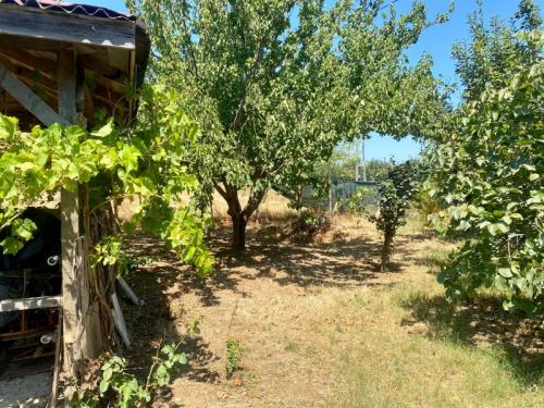 çatalca kestanelikte müstakil ev