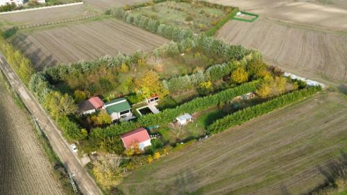  4+1 Müstakil Havuzlu Yaşam • 4.050 m² Özel Arazi