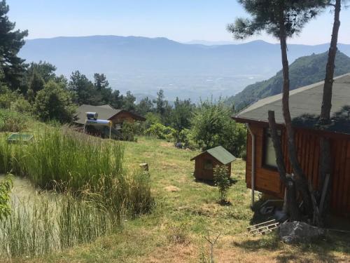 Doğal Yaşam Alanı