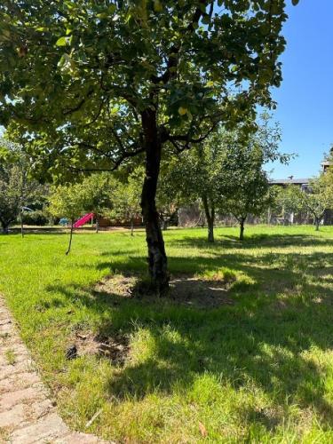 	Çatalca Kabakça’da Havuzlu ve Ahşap Evli Büyük Bahçeli Mülk