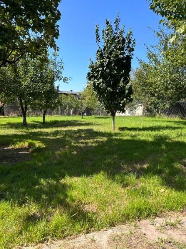 	Çatalca Kabakça’da Havuzlu ve Ahşap Evli Büyük Bahçeli Mülk