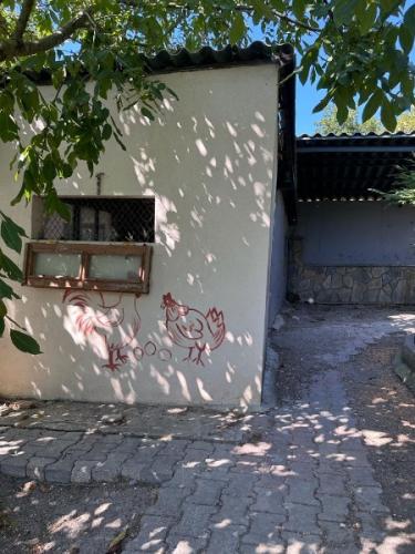 	Çatalca Kabakça’da Havuzlu ve Ahşap Evli Büyük Bahçeli Mülk