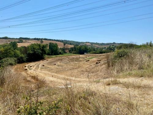 ÇATALCA DAGYENİCE DE ANA CADDE ÜZERİ ARAZİ