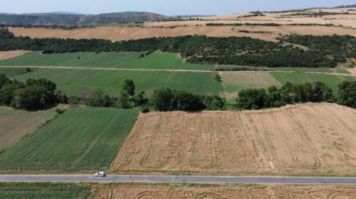 GELİBOLU BAYIRKÖYDE 567 m² ÇAPLI MUVAFAKATLI SATILIK PARSEL