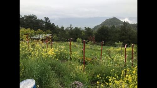 Doğal Yaşam Alanı