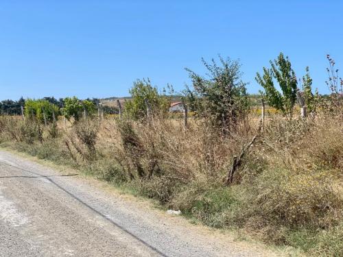 çatalca kestanelikte müstakil ev