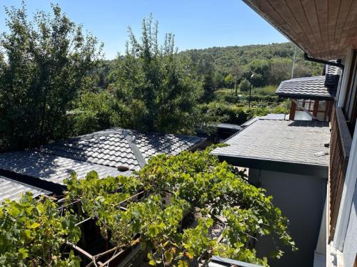 	Çatalca Kabakça’da Havuzlu ve Ahşap Evli Büyük Bahçeli Mülk