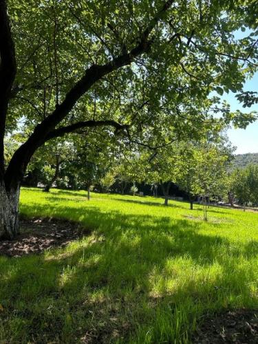 	Çatalca Kabakça’da Havuzlu ve Ahşap Evli Büyük Bahçeli Mülk