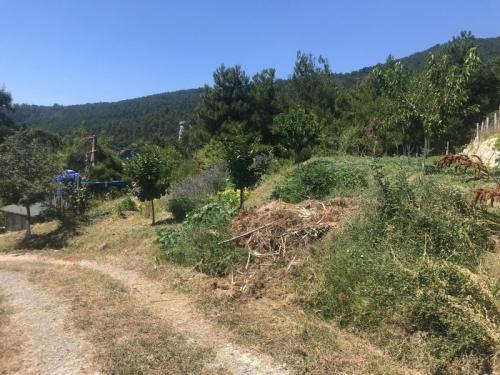 Doğal Yaşam Alanı