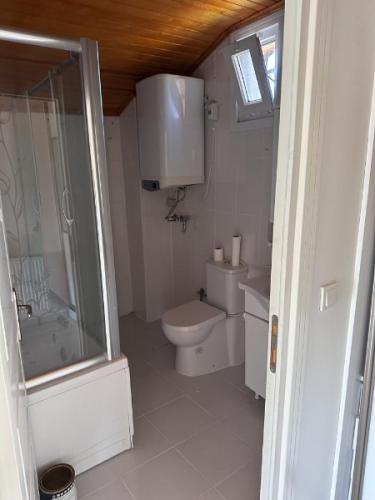 	Çatalca Kabakça’da Havuzlu ve Ahşap Evli Büyük Bahçeli Mülk