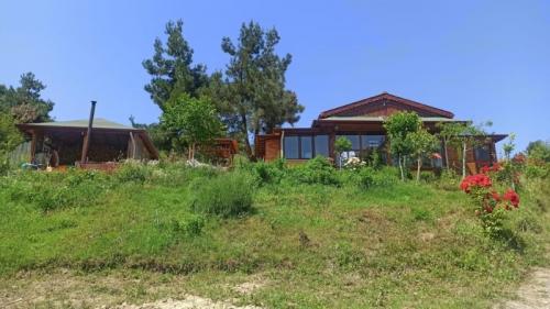 Doğal Yaşam Alanı