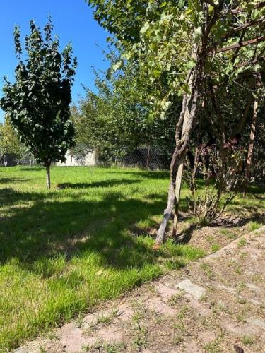 	Çatalca Kabakça’da Havuzlu ve Ahşap Evli Büyük Bahçeli Mülk