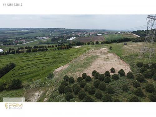 ÇATALCA ELBASAN DA 4913 M2 MÜSTAKİL ARAZİ