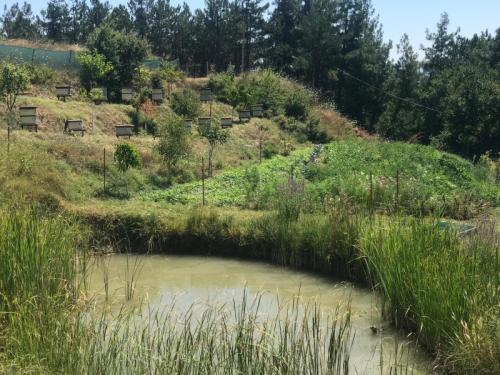 Doğal Yaşam Alanı