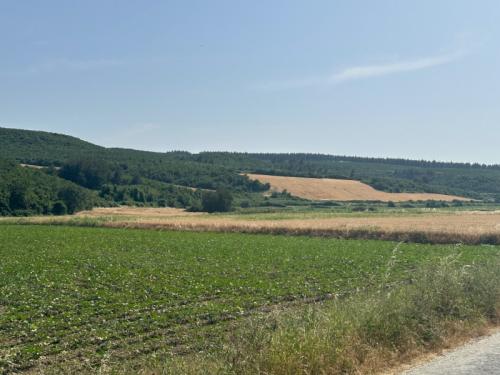 GELİBOLU BAYIRKÖYDE 920 M² ÇAPLI MUVAFAKATLI SATILIK PARSEL