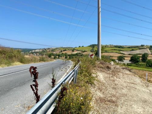 ÇATALCA DAGYENİCE DE ANA CADDE ÜZERİ ARAZİ