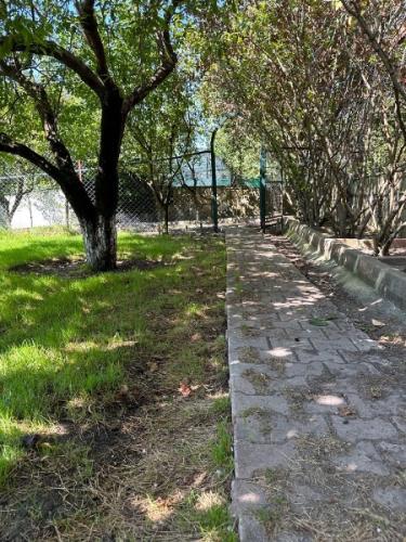 	Çatalca Kabakça’da Havuzlu ve Ahşap Evli Büyük Bahçeli Mülk