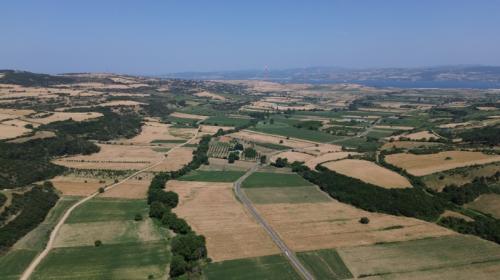 GELİBOLU BAYIRKÖYDE 920 M² ÇAPLI MUVAFAKATLI SATILIK PARSEL