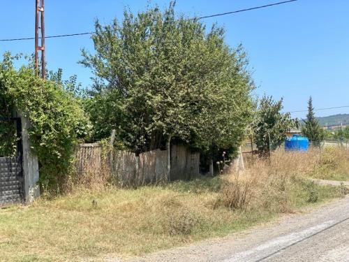 çatalca kestanelikte müstakil ev