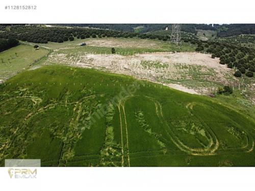ÇATALCA ELBASAN DA 4913 M2 MÜSTAKİL ARAZİ