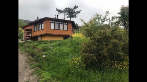 Doğal Yaşam Alanı