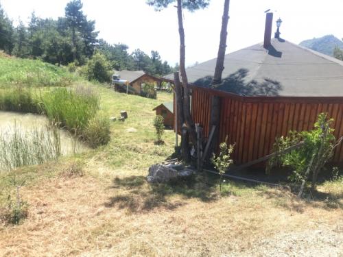 Doğal Yaşam Alanı