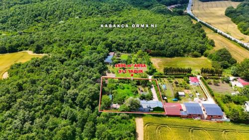 	Çatalca Kabakça’da Havuzlu ve Ahşap Evli Büyük Bahçeli Mülk