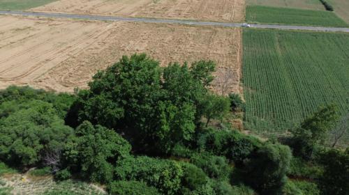 GELİBOLU BAYIRKÖYDE 567 m² ÇAPLI MUVAFAKATLI SATILIK PARSEL