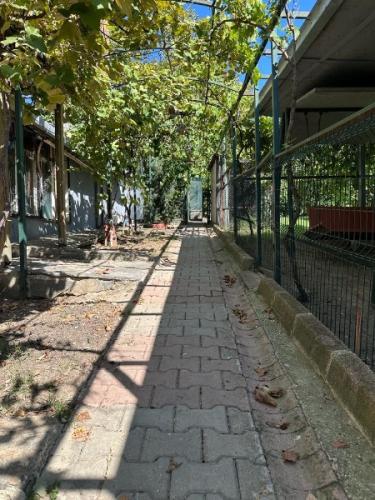 	Çatalca Kabakça’da Havuzlu ve Ahşap Evli Büyük Bahçeli Mülk