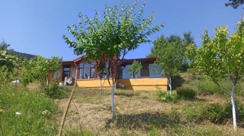 Doğal Yaşam Alanı