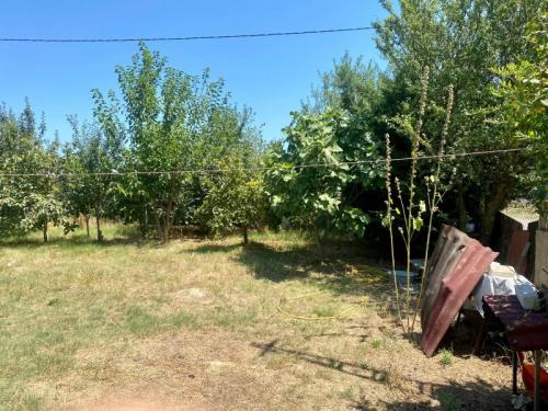 çatalca kestanelikte müstakil ev