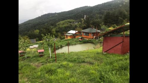 Doğal Yaşam Alanı