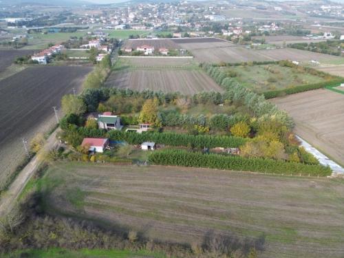  4+1 Müstakil Havuzlu Yaşam • 4.050 m² Özel Arazi