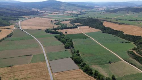 GELİBOLU BAYIRKÖYDE 920 M² ÇAPLI MUVAFAKATLI SATILIK PARSEL