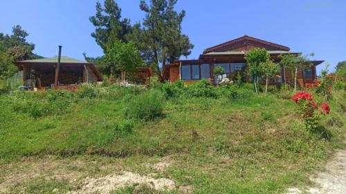 Doğal Yaşam Alanı